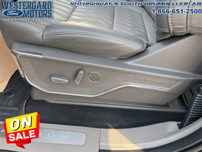 2025 Ford F-150 Platinum  - Leather Seats - 22" Wheels - Image 27