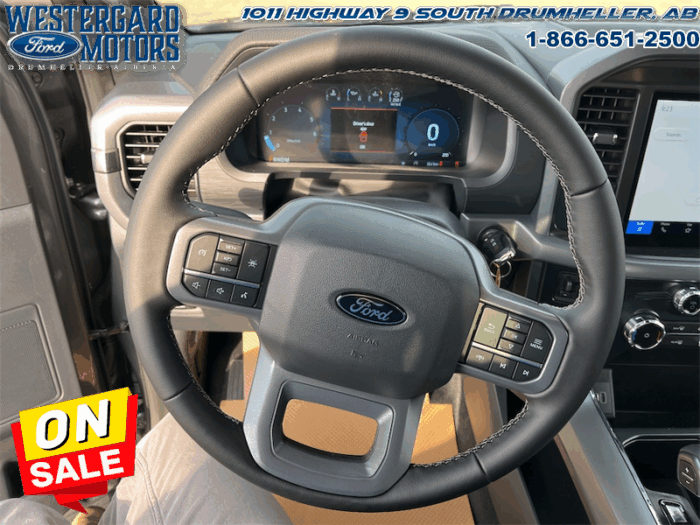 2025 Ford F-150 XLT  - 18" Wheels - Image 27