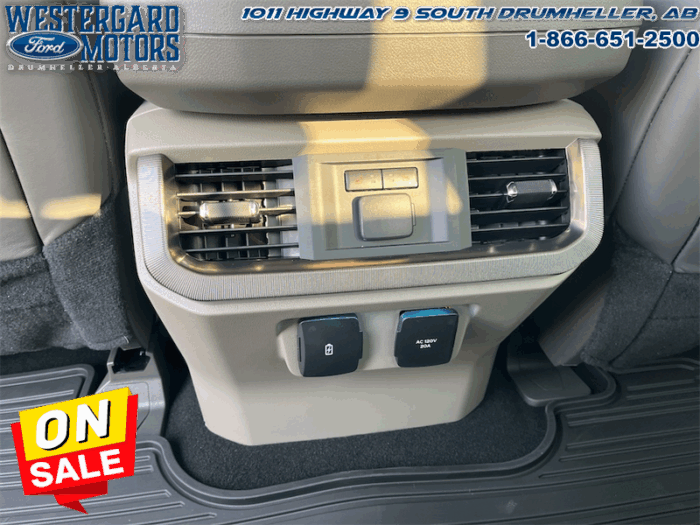 2025 Ford F-150 Platinum  - Leather Seats - 22" Wheels - Image 28