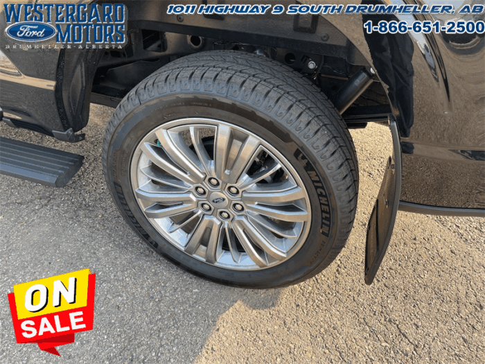 2025 Ford F-150 Platinum  - Leather Seats - 22" Wheels - Image 29