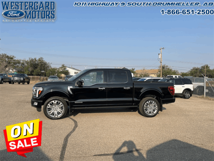 2025 Ford F-150 Platinum  - Leather Seats - 22" Wheels - Image 2