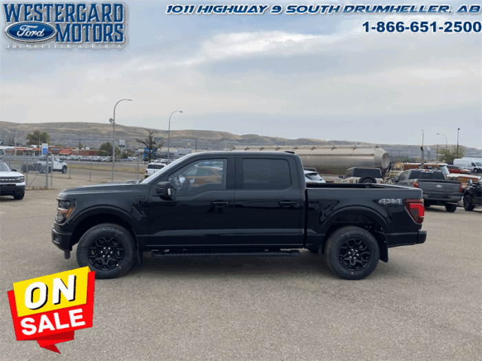 2025 Ford F-150 XLT  - 18" Wheels - Image 2