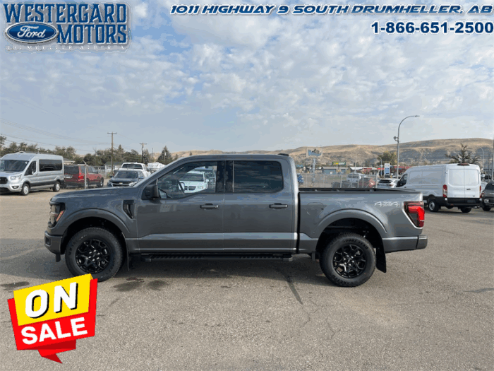 2025 Ford F-150 XLT  - 18" Wheels - Image 2