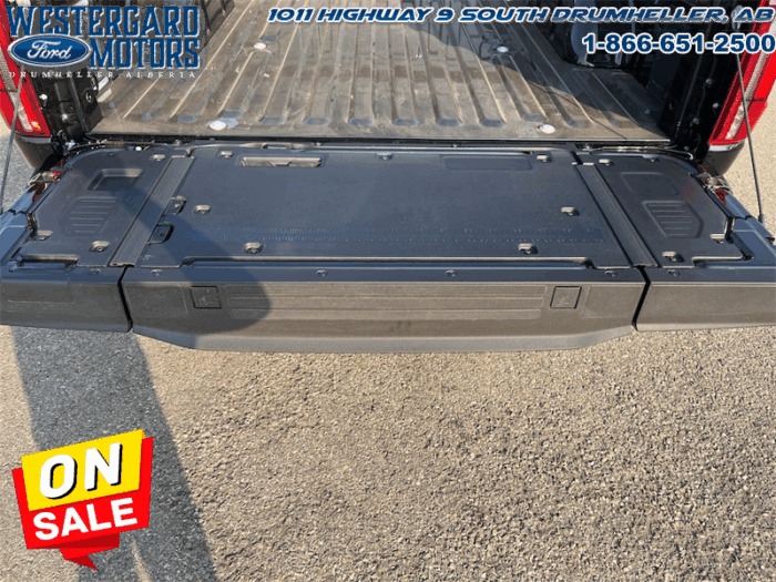 2025 Ford F-150 Platinum  - Leather Seats - 22" Wheels - Image 30