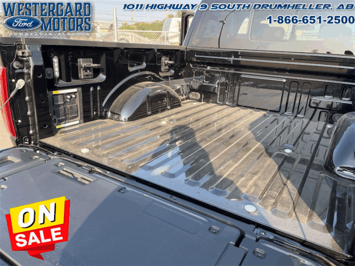 2025 Ford F-150 Platinum  - Leather Seats - 22" Wheels - Image 31