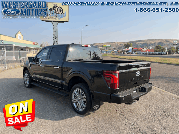 2025 Ford F-150 Platinum  - Leather Seats - 22" Wheels - Image 3