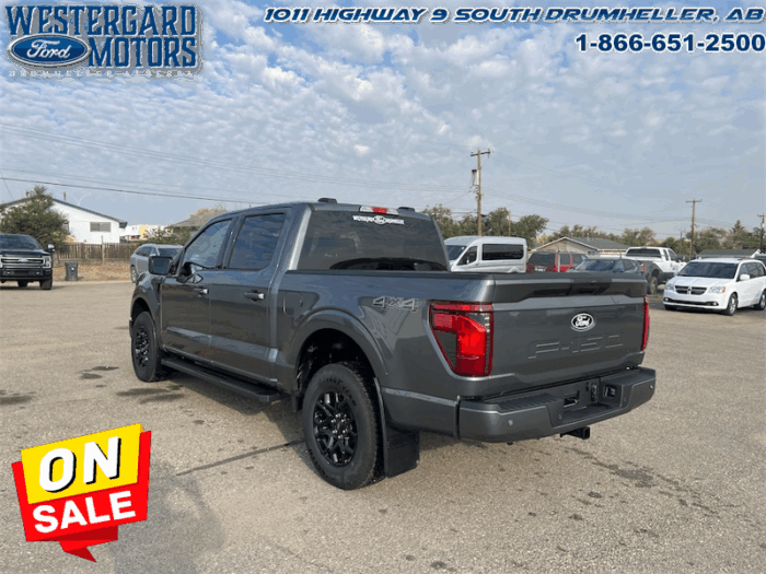 2025 Ford F-150 XLT  - 18" Wheels - Image 3