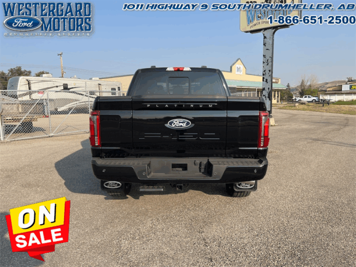 2025 Ford F-150 Platinum  - Leather Seats - 22" Wheels - Image 4