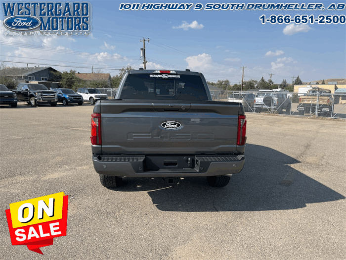 2025 Ford F-150 XLT  - 18" Wheels - Image 4