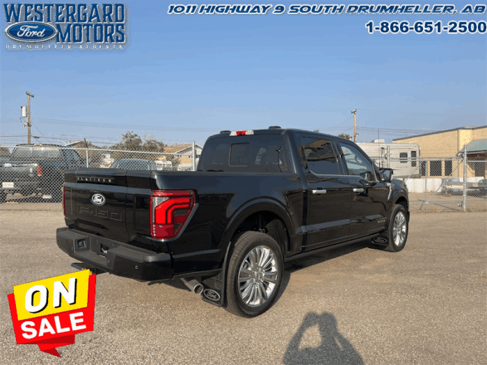 2025 Ford F-150 Platinum  - Leather Seats - 22" Wheels - Image 5