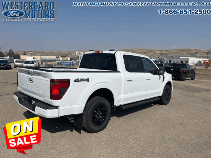 2025 Ford F-150 XLT  - 18" Wheels - Image 5