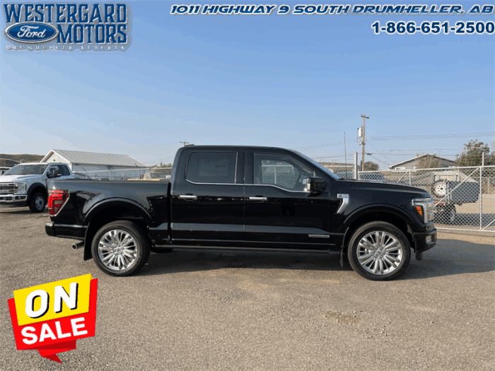2025 Ford F-150 Platinum  - Leather Seats - 22" Wheels - Image 6