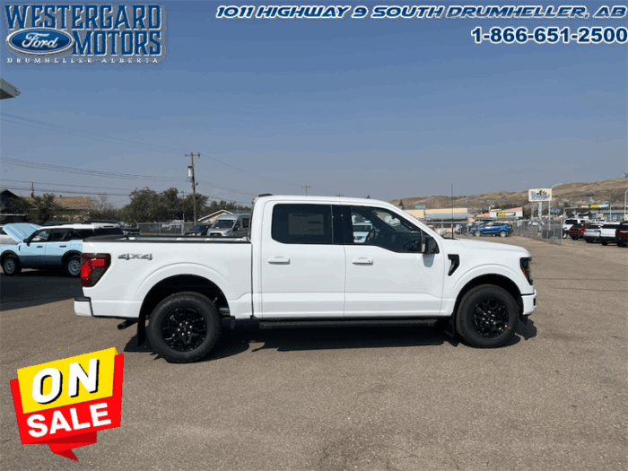 2025 Ford F-150 XLT  - 18" Wheels - Image 6
