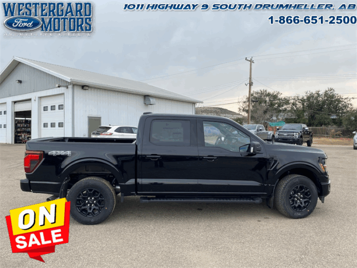 2025 Ford F-150 XLT  - 18" Wheels - Image 6