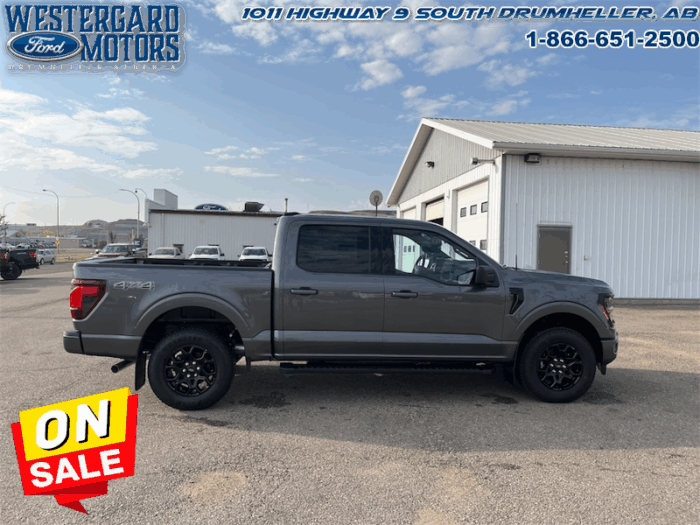 2025 Ford F-150 XLT  - 18" Wheels - Image 6