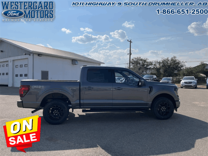 2025 Ford F-150 XLT  - 18" Wheels - Image 6