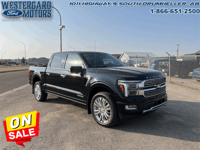 2025 Ford F-150 Platinum  - Leather Seats - 22" Wheels - Image 7