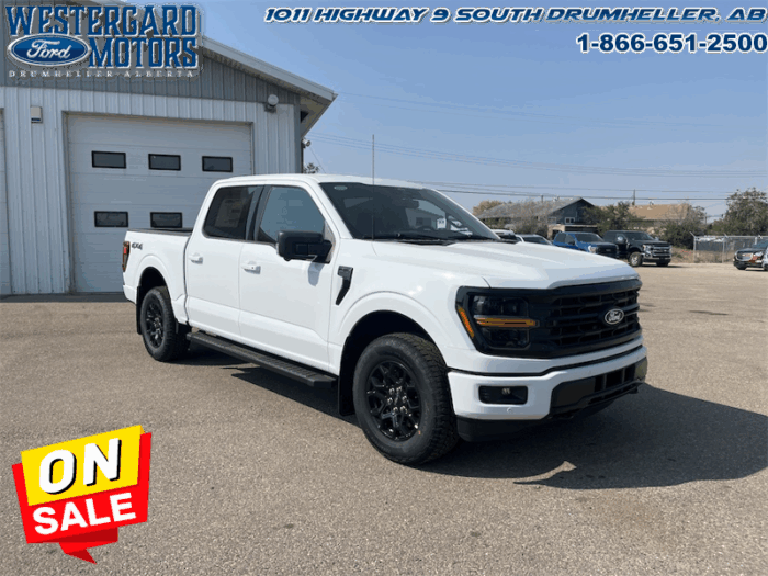 2025 Ford F-150 XLT  - 18" Wheels - Image 7