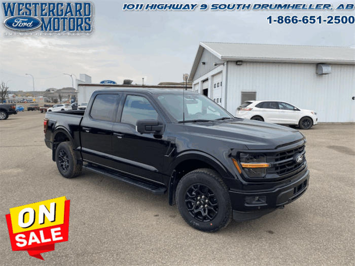 2025 Ford F-150 XLT  - 18" Wheels - Image 7