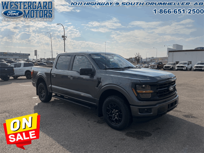 2025 Ford F-150 XLT  - 18" Wheels - Image 7