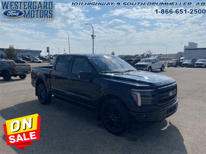 2025 Ford F-150 Lariat - Image 7
