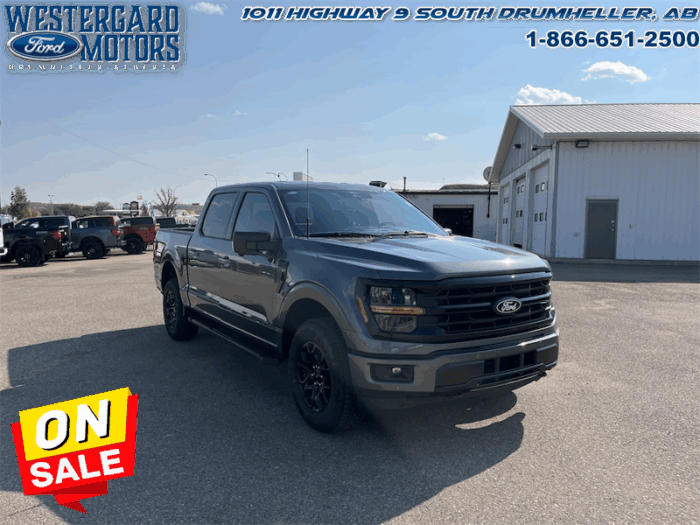 2025 Ford F-150 XLT  - 18" Wheels - Image 7
