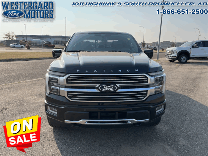 2025 Ford F-150 Platinum  - Leather Seats - 22" Wheels - Image 8