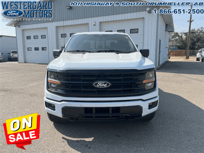 2025 Ford F-150 XLT  - 18" Wheels - Image 8