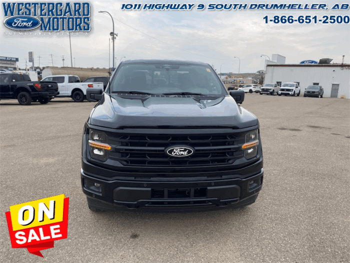 2025 Ford F-150 XLT  - 18" Wheels - Image 8