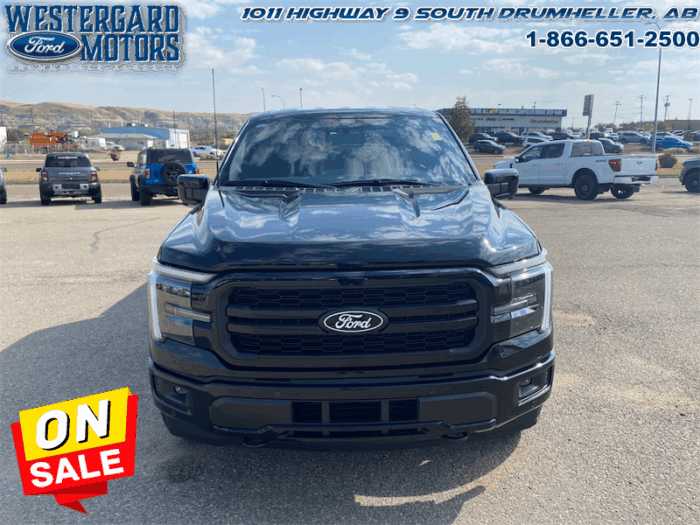 2025 Ford F-150 Lariat - Image 8