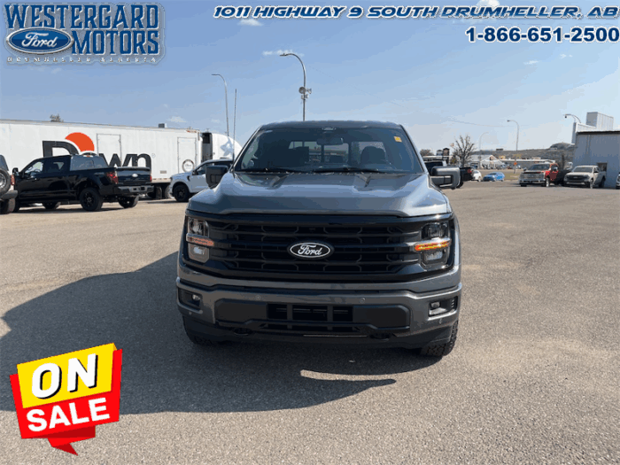 2025 Ford F-150 XLT  - 18" Wheels - Image 8