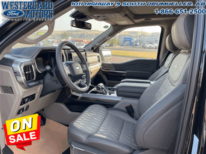 2025 Ford F-150 Platinum  - Leather Seats - 22" Wheels - Image 9