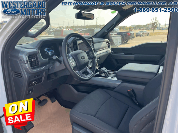 2025 Ford F-150 XLT  - 18" Wheels - Image 9