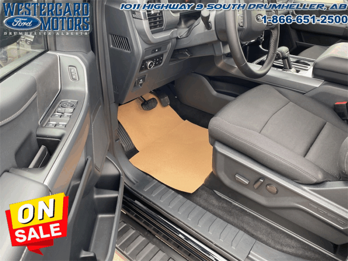 2025 Ford F-150 XLT  - 18" Wheels - Image 9