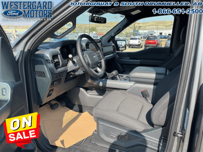 2025 Ford F-150 XLT  - 18" Wheels - Image 9