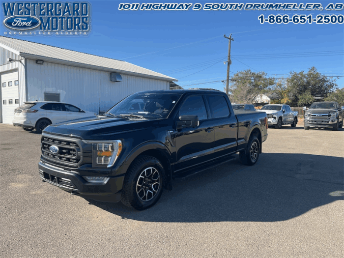 Used Crew Cab 2023 Ford F-150 XLT Black