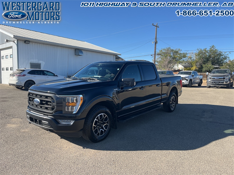 Used Crew Cab 2023 Ford F-150 XLT Black