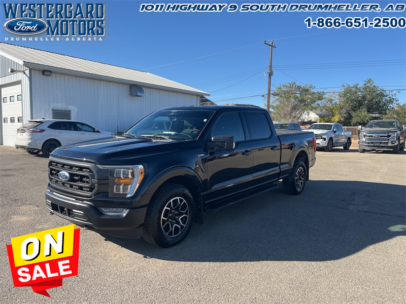 Used Crew Cab 2023 Ford F-150 XLT Black