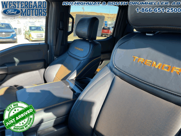 2025 Ford F-150 Tremor  -  Heated Seats - Image 10