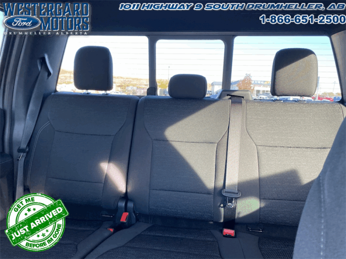 2025 Ford F-150 XLT  - 18" Wheels - Image 11