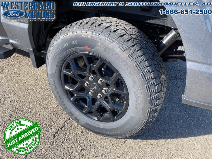 2025 Ford F-150 XLT  - 18" Wheels - Image 18