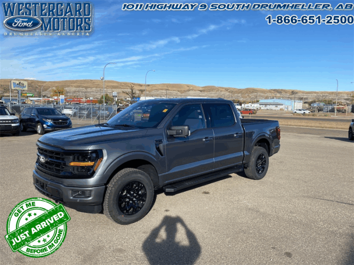Used Crew Cab 2025 Ford F-150 W3L Carbonized Grey Metallic