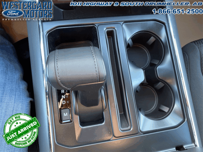 2025 Ford F-150 XLT  - 18" Wheels - Image 24