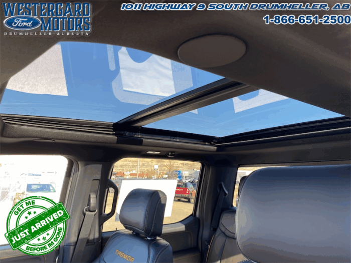 2025 Ford F-150 Tremor  -  Heated Seats - Image 22