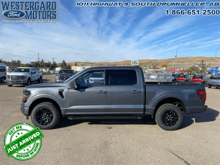 2025 Ford F-150 XLT  - 18" Wheels - Image 2