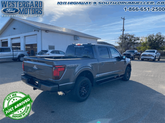 2025 Ford F-150 XLT  - 18" Wheels - Image 5