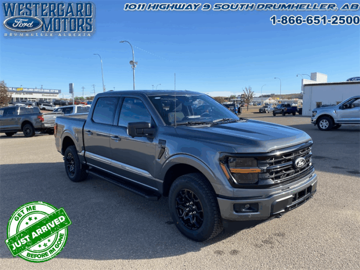 2025 Ford F-150 XLT  - 18" Wheels - Image 7