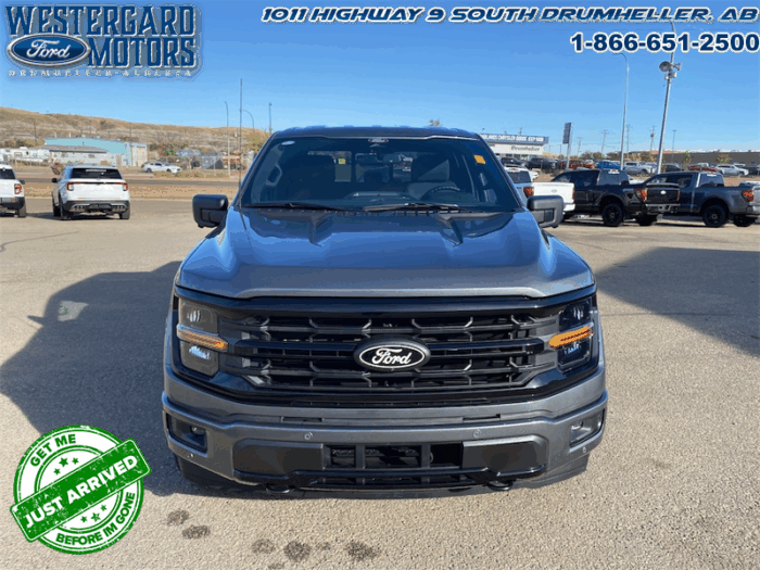 2025 Ford F-150 XLT  - 18" Wheels - Image 8